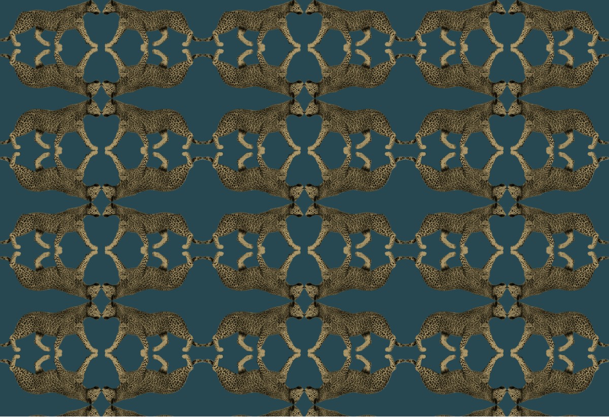 Leopard Walk 15331